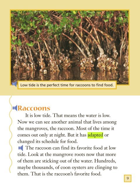 Lesson 8:Mangrove Swamp