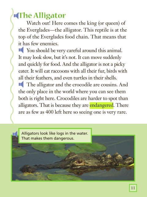 Lesson 8:Mangrove Swamp