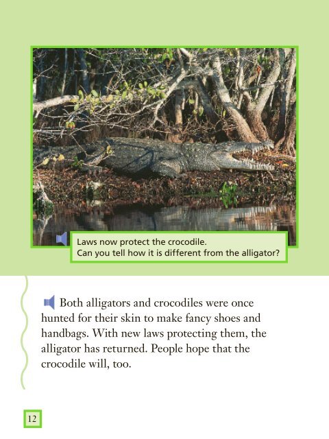 Lesson 8:Mangrove Swamp