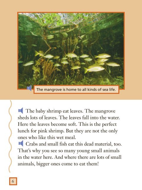 Lesson 8:Mangrove Swamp