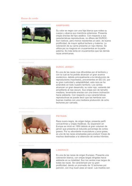 Razas de cerdo.pdf