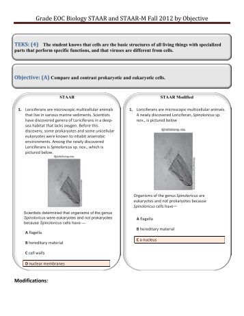 STAAR Biology Blueprint with TEKS STAAR Biology Blueprint with TEKS