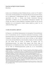 Experiment und Spiel in Goethes Farbenlehre > PDF