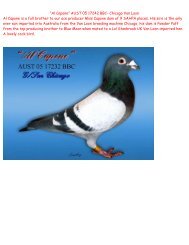 “Al Capone” AUST 05 17242 BBC- Chicago Van ... - pigeon sales