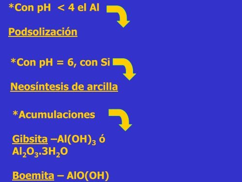 COMPORTAMIENTO DE LOS ELEMENTOS EN EL SUELO