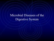 Microbial Diseases of the Digestive System