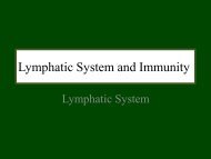 Lymphatic System and immunity