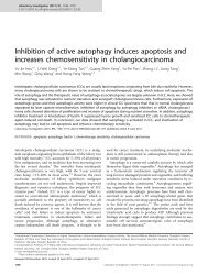 Inhibition of active autophagy induces apoptosis ... - BPA Pathology