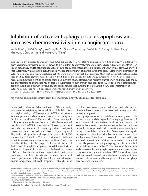 Inhibition of active autophagy induces apoptosis ... - BPA Pathology