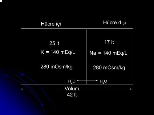 Hiponatremi