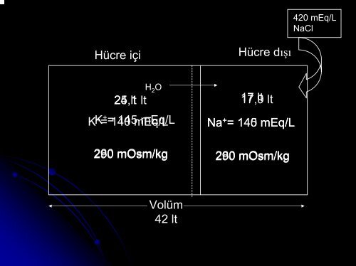 Hiponatremi