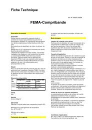 FEMA-Compribande - 2IP