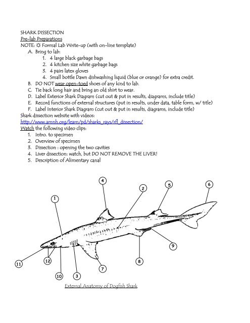 SHARK DISSECTION Pre-lab Preparations NOTE: Formal Lab Write 