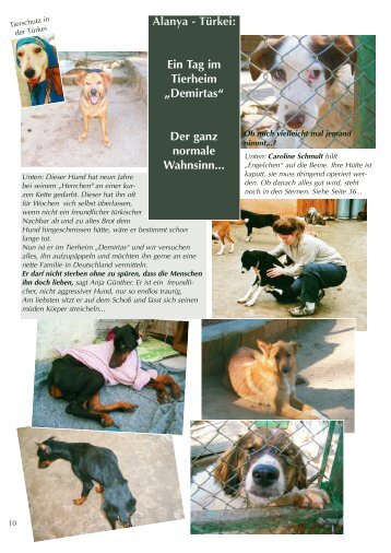 Alanya - Türkei: Ein Tag im Tierheim „Demirtas ... - Tierhilfe Süden