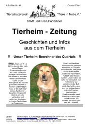 Die Hunde - Tierheim Paderborn