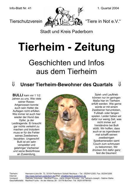 Tierheim Zeitung Tierheim Paderborn