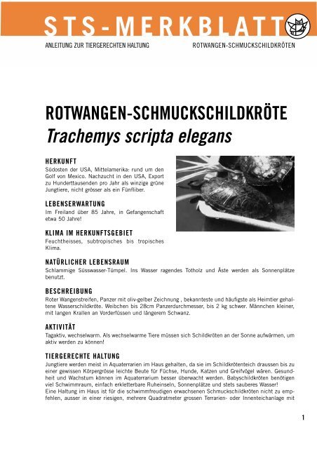 Rotwangen-Schmuckschildkröte - Schweizer Tierschutz STS