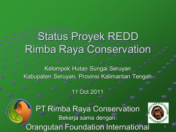 Rimba Raya Conservation REDD Project Status - Forest Climate ...