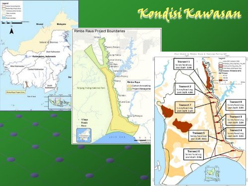 Rimba Raya Conservation REDD Project Status - Forest Climate ...