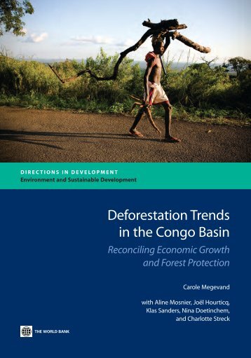 Deforestation trends in the Congo Basin : reconciling economic ...