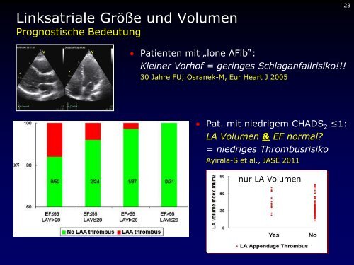 Dr. med. Breithardt - Kardioecho-Update 2013