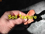 Soil Texture - Environmental Health Section