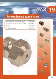 Inyectores para gas - Gev-online.es