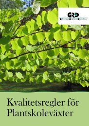 Kvalitetsregler för Plantskoleväxter - LRF