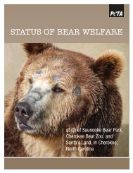 STATUS OF BEAR WELFARE