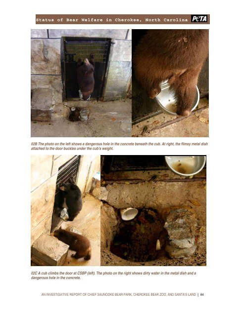 STATUS OF BEAR WELFARE