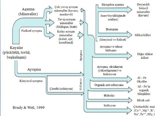 Ana Materyal