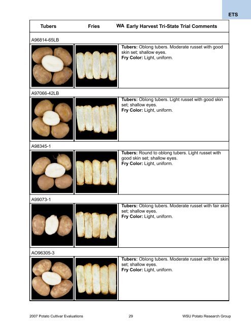 2007 - Potatoes at WSU - Washington State University