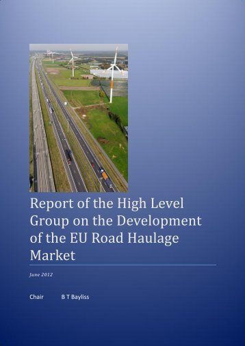 Report of the High Level Group on the Development of ... - Euromerci