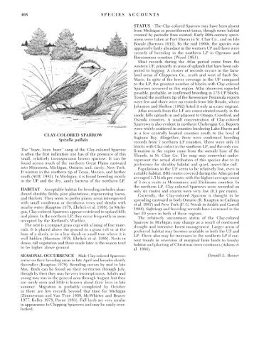 Clay-colored Sparrow - Michigan Breeding Bird Atlas Website