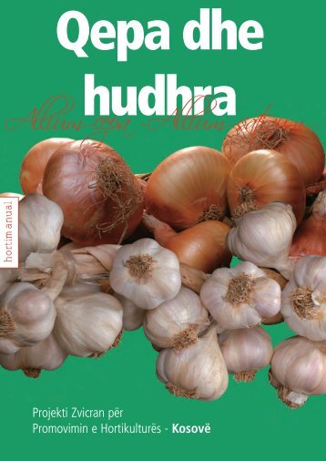 Allium cepa -Allium sativum - HELVETAS