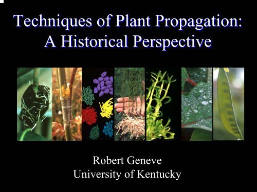 History of Plant Prop Techniques (Geneve) - Aggie Horticulture