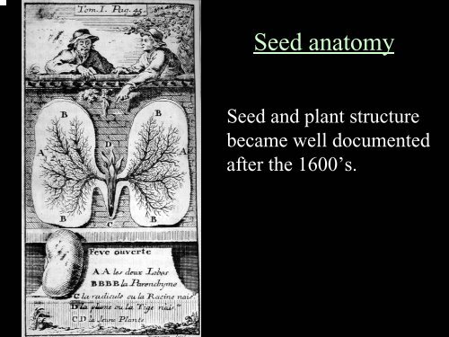 History of Plant Prop Techniques (Geneve) - Aggie Horticulture