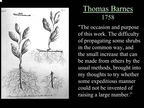 History of Plant Prop Techniques (Geneve) - Aggie Horticulture