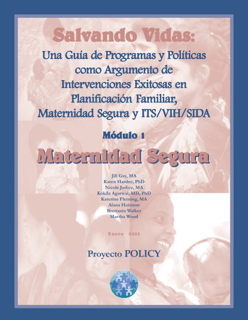 Maternidad Segura - POLICY Project