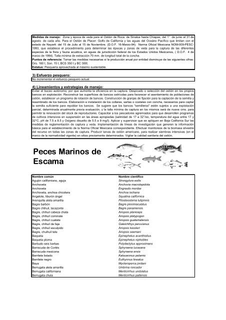 Carta Nacional Pesquera ActualizaciÃ³n 2004 - Inapesca