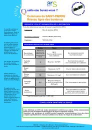 Réseau ligne des bambous 2010 modifiée - Veolia Eau Réunion