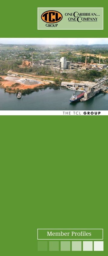 Member Profiles - TCL Group