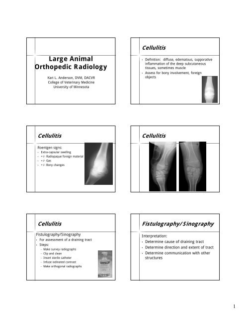 Large Animal Orthopedic Radiology - University of Minnesota