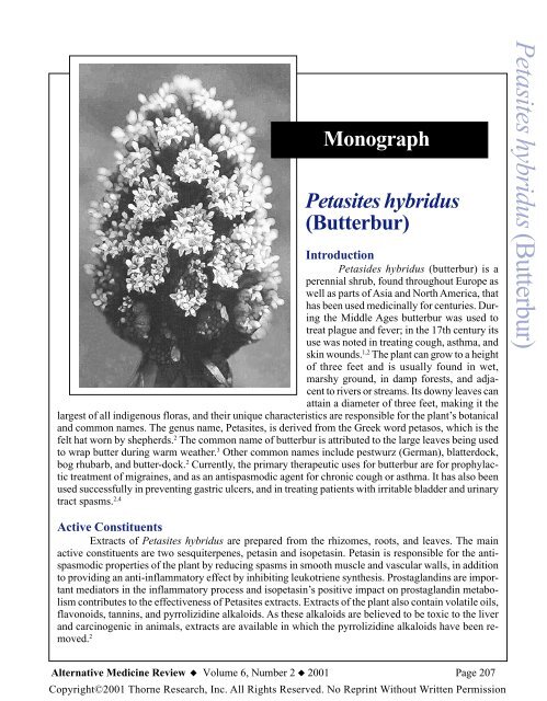 Petasites hybridus Monograph - Alternative Medicine Review