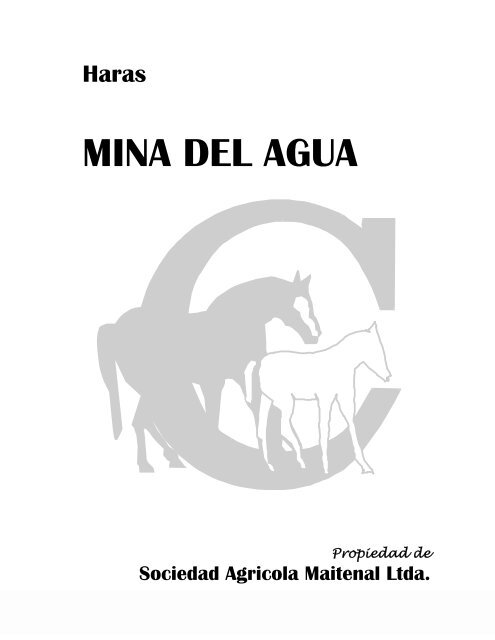 mina del agua.pdf - criadores.cl