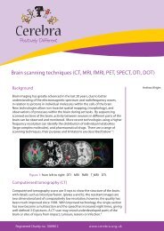 Brain scanning techniques (CT, MRI, fMRI, PET, SPECT ... - Cerebra