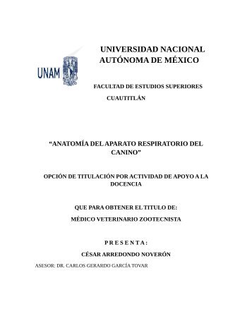 UNIVERSIDAD NACIONAL AUTÃNOMA DE MÃXICO - UNAM