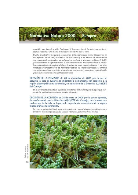GuÃ­a didÃ¡ctica NATURA 2000 en Canarias QuÃ© ... - Interreg Bionatura