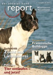 Zucht-Kritik - Problemhundtherapie in NRW
