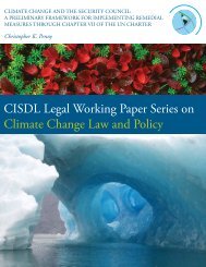 Climate Change and the Security Council - CISDL